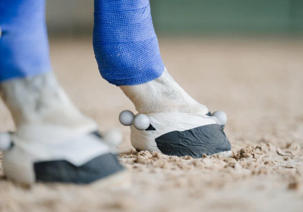 Ikkinchi Alla porno yulduz ekanligi aniq